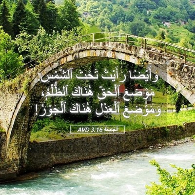 Picture 05 - اَلْجَامِعَةِ 3:16 AVD - وَأَيْضًا رَأَيْتُ تَحْتَ - Bible Verse Picture