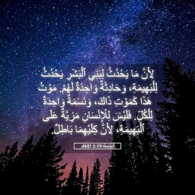 Picture 05 - اَلْجَامِعَةِ 3:19 AVD - لِأَنَّ مَا يَحْدُثُ - Bible Verse Picture