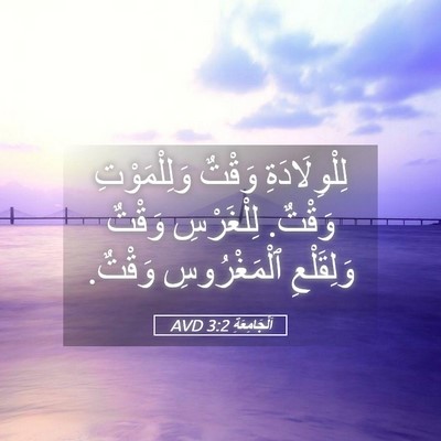 Picture 05 - اَلْجَامِعَةِ 3:2 AVD - لِلْوِلَادَةِ وَقْتٌ - Bible Verse Picture
