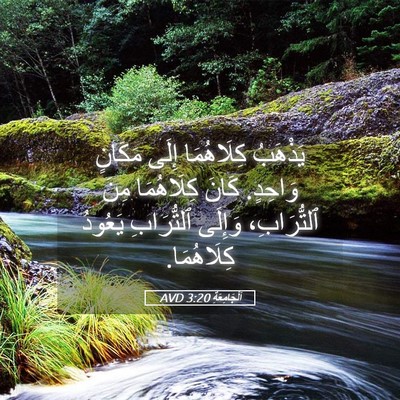 Picture 05 - اَلْجَامِعَةِ 3:20 AVD - يَذْهَبُ كِلَاهُمَا إِلَى - Bible Verse Picture