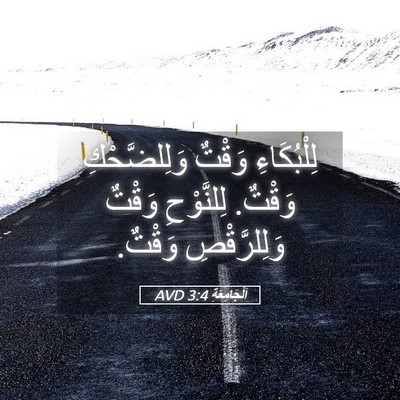 Picture 05 - اَلْجَامِعَةِ 3:4 AVD - لِلْبُكَاءِ وَقْتٌ - Bible Verse Picture