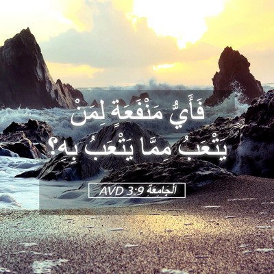 Picture 05 - اَلْجَامِعَةِ 3:9 AVD - فَأَيُّ مَنْفَعَةٍ لِمَنْ - Bible Verse Picture