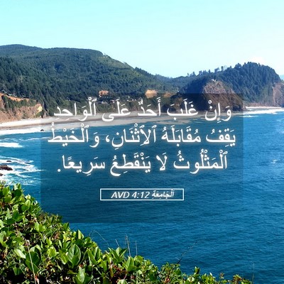 Picture 05 - اَلْجَامِعَةِ 4:12 AVD - وَإِنْ غَلَبَ أَحَدٌ عَلَى - Bible Verse Picture