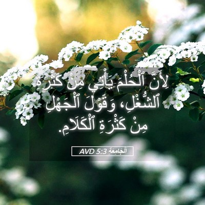 Picture 05 - اَلْجَامِعَةِ 5:3 AVD - لِأَنَّ ٱلْحُلْمَ يَأْتِي - Bible Verse Picture