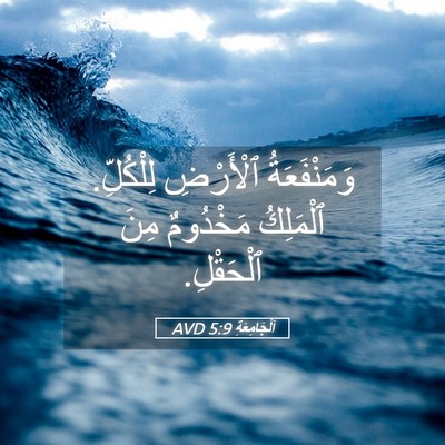 Picture 05 - اَلْجَامِعَةِ 5:9 AVD - وَمَنْفَعَةُ ٱلْأَرْضِ - Bible Verse Picture