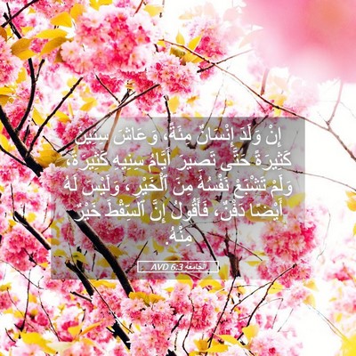 Picture 05 - اَلْجَامِعَةِ 6:3 AVD - إِنْ وَلَدَ إِنْسَانٌ - Bible Verse Picture