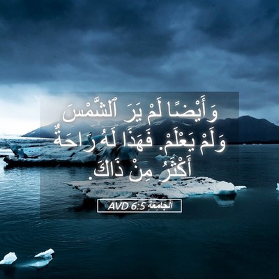 Picture 05 - اَلْجَامِعَةِ 6:5 AVD - وَأَيْضًا لَمْ يَرَ - Bible Verse Picture