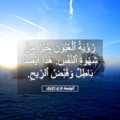 Picture 05 - اَلْجَامِعَةِ 6:9 AVD - رُؤْيَةُ ٱلْعُيُونِ - Bible Verse Picture