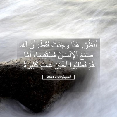 Picture 05 - اَلْجَامِعَةِ 7:29 AVD - اُنْظُرْ. هَذَا وَجَدْتُ - Bible Verse Picture