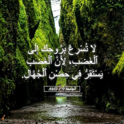 Picture 05 - اَلْجَامِعَةِ 7:9 AVD - لَا تُسْرِعْ بِرُوحِكَ - Bible Verse Picture
