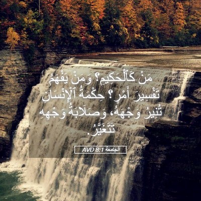 Picture 05 - اَلْجَامِعَةِ 8:1 AVD - مَنْ كَٱلْحَكِيمِ؟ وَمَنْ - Bible Verse Picture