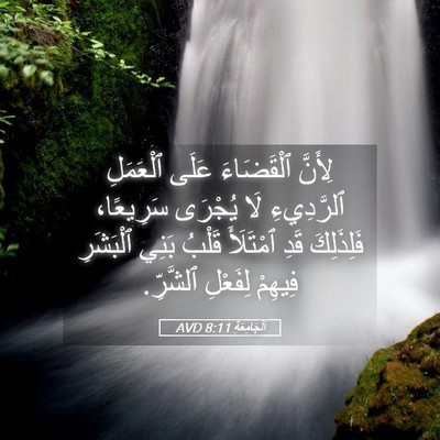 Picture 05 - اَلْجَامِعَةِ 8:11 AVD - لِأَنَّ ٱلْقَضَاءَ عَلَى - Bible Verse Picture