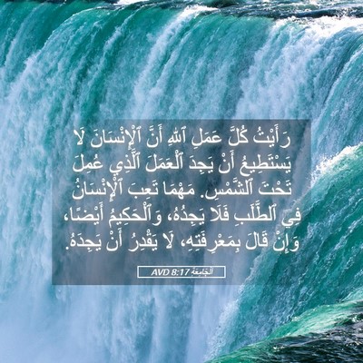 Picture 05 - اَلْجَامِعَةِ 8:17 AVD - رَأَيْتُ كُلَّ عَمَلِ - Bible Verse Picture