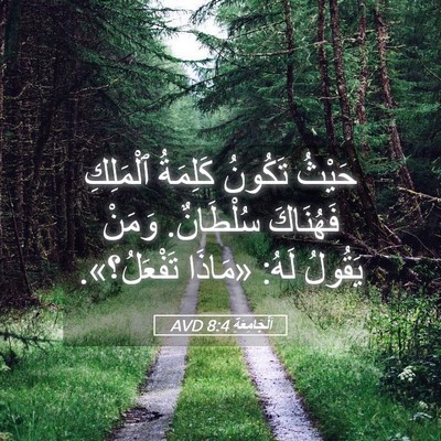 Picture 05 - اَلْجَامِعَةِ 8:4 AVD - حَيْثُ تَكُونُ كَلِمَةُ - Bible Verse Picture