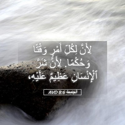 Picture 05 - اَلْجَامِعَةِ 8:6 AVD - لِأَنَّ لِكُلِّ أَمْرٍ - Bible Verse Picture