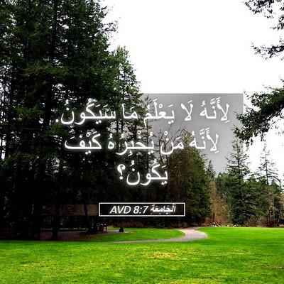 Picture 05 - اَلْجَامِعَةِ 8:7 AVD - لِأَنَّهُ لَا يَعْلَمُ مَا - Bible Verse Picture