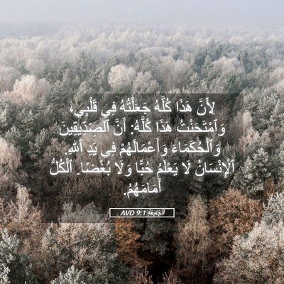Picture 05 - اَلْجَامِعَةِ 9:1 AVD - لِأَنَّ هَذَا كُلَّهُ - Bible Verse Picture