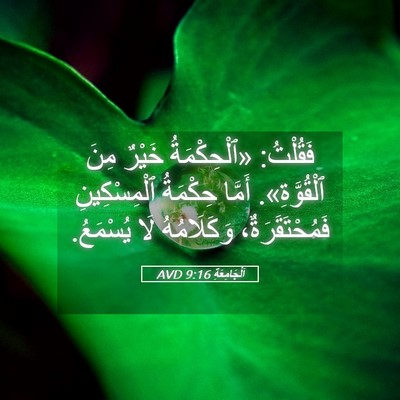 Picture 05 - اَلْجَامِعَةِ 9:16 AVD - فَقُلْتُ: «ٱلْحِكْمَةُ - Bible Verse Picture