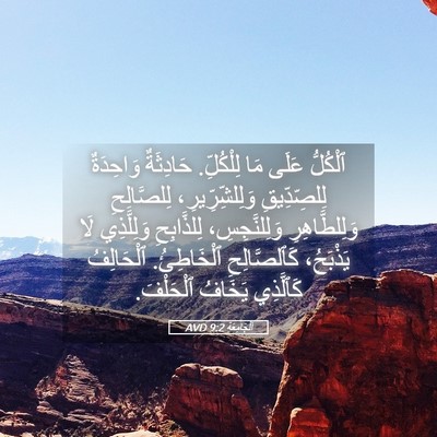 Picture 05 - اَلْجَامِعَةِ 9:2 AVD - ٱلْكُلُّ عَلَى مَا - Bible Verse Picture