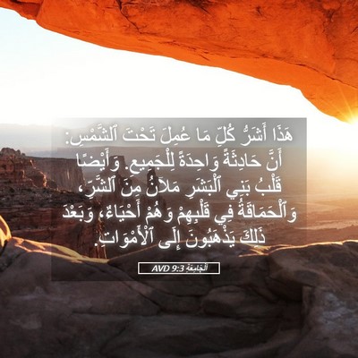 Picture 05 - اَلْجَامِعَةِ 9:3 AVD - هَذَا أَشَرُّ كُلِّ مَا - Bible Verse Picture
