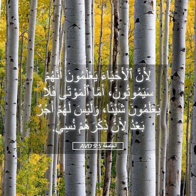 Picture 05 - اَلْجَامِعَةِ 9:5 AVD - لِأَنَّ ٱلْأَحْيَاءَ - Bible Verse Picture