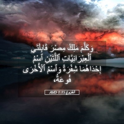 Picture 05 - اَلْخُرُوجُ 1:15 AVD - وَكَلَّمَ مَلِكُ مِصْرَ - Bible Verse Picture