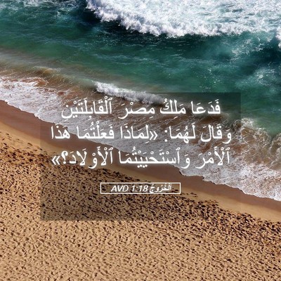 Picture 05 - اَلْخُرُوجُ 1:18 AVD - فَدَعَا مَلِكُ مِصْرَ - Bible Verse Picture
