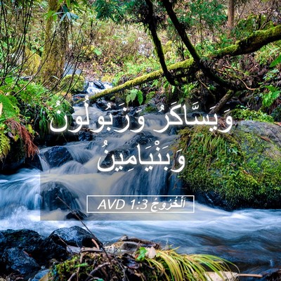 Picture 05 - اَلْخُرُوجُ 1:3 AVD - وَيَسَّاكَرُ وَزَبُولُونُ - Bible Verse Picture