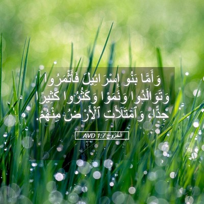 Picture 05 - اَلْخُرُوجُ 1:7 AVD - وَأَمَّا بَنُو - Bible Verse Picture