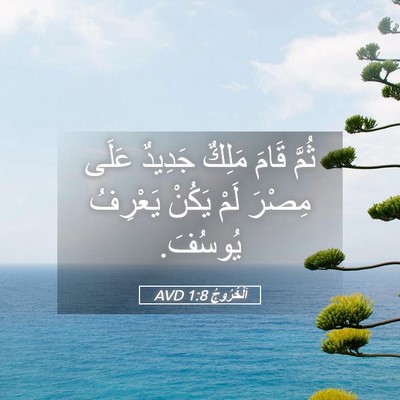 Picture 05 - اَلْخُرُوجُ 1:8 AVD - ثُمَّ قَامَ مَلِكٌ جَدِيدٌ - Bible Verse Picture