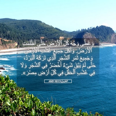 Picture 05 - اَلْخُرُوجُ 10:15 AVD - وَغَطَّى وَجْهَ كُلِّ - Bible Verse Picture