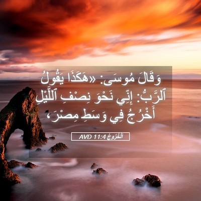 Picture 05 - اَلْخُرُوجُ 11:4 AVD - وَقَالَ مُوسَى: «هَكَذَا - Bible Verse Picture