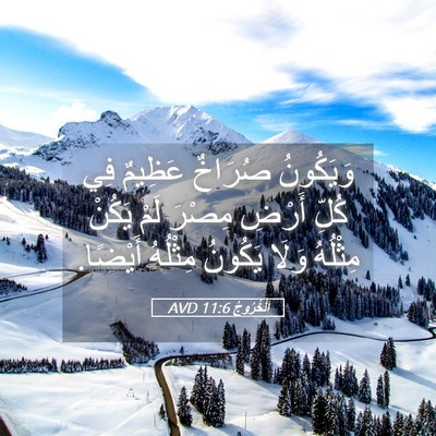Picture 05 - اَلْخُرُوجُ 11:6 AVD - وَيَكُونُ صُرَاخٌ عَظِيمٌ - Bible Verse Picture