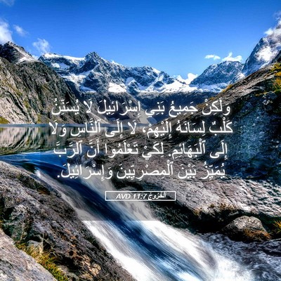 Picture 05 - اَلْخُرُوجُ 11:7 AVD - وَلَكِنْ جَمِيعُ بَنِي - Bible Verse Picture