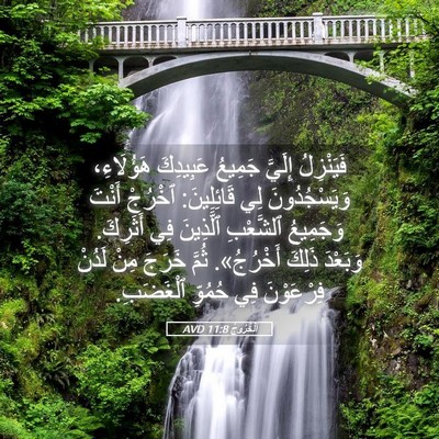 Picture 05 - اَلْخُرُوجُ 11:8 AVD - فَيَنْزِلُ إِلَيَّ - Bible Verse Picture
