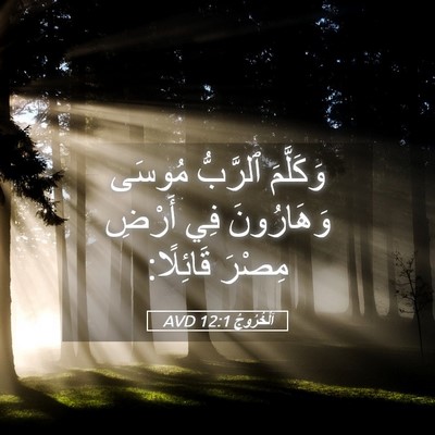 Picture 05 - اَلْخُرُوجُ 12:1 AVD - وَكَلَّمَ ٱلرَّبُّ مُوسَى - Bible Verse Picture