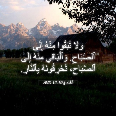 Picture 05 - اَلْخُرُوجُ 12:10 AVD - وَلَا تُبْقُوا مِنْهُ - Bible Verse Picture