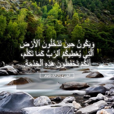 Picture 05 - اَلْخُرُوجُ 12:25 AVD - وَيَكُونُ حِينَ - Bible Verse Picture