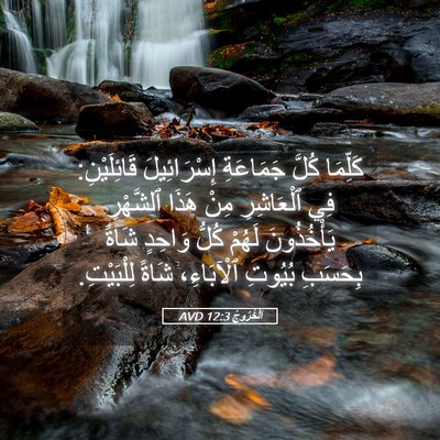 Picture 05 - اَلْخُرُوجُ 12:3 AVD - كَلِّمَا كُلَّ جَمَاعَةِ - Bible Verse Picture