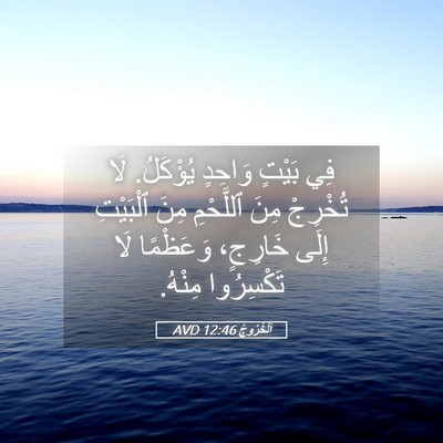 Picture 05 - اَلْخُرُوجُ 12:46 AVD - فِي بَيْتٍ وَاحِدٍ - Bible Verse Picture