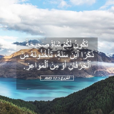 Picture 05 - اَلْخُرُوجُ 12:5 AVD - تَكُونُ لَكُمْ شَاةً - Bible Verse Picture