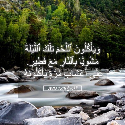 Picture 05 - اَلْخُرُوجُ 12:8 AVD - وَيَأْكُلُونَ ٱللَّحْمَ - Bible Verse Picture