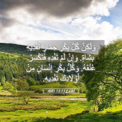 Picture 05 - اَلْخُرُوجُ 13:13 AVD - وَلَكِنَّ كُلَّ بِكْرِ - Bible Verse Picture