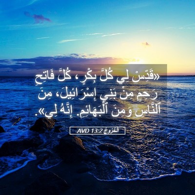 Picture 05 - اَلْخُرُوجُ 13:2 AVD - «قَدِّسْ لِي كُلَّ بِكْرٍ، - Bible Verse Picture
