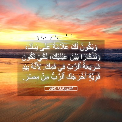 Picture 05 - اَلْخُرُوجُ 13:9 AVD - وَيَكُونُ لَكَ عَلَامَةً - Bible Verse Picture