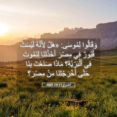 Picture 05 - اَلْخُرُوجُ 14:11 AVD - وَقَالُوا لِمُوسَى: «هَلْ - Bible Verse Picture