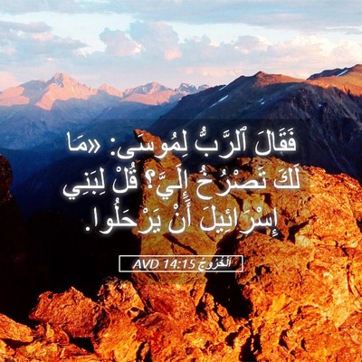 Picture 05 - اَلْخُرُوجُ 14:15 AVD - فَقَالَ ٱلرَّبُّ لِمُوسَى: - Bible Verse Picture