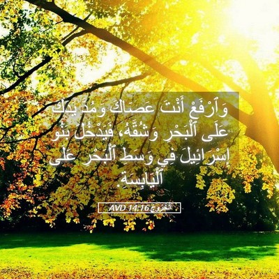 Picture 05 - اَلْخُرُوجُ 14:16 AVD - وَٱرْفَعْ أَنْتَ عَصَاكَ - Bible Verse Picture