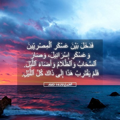Picture 05 - اَلْخُرُوجُ 14:20 AVD - فَدَخَلَ بَيْنَ عَسْكَرِ - Bible Verse Picture