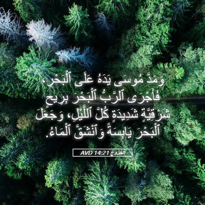 Picture 05 - اَلْخُرُوجُ 14:21 AVD - وَمَدَّ مُوسَى يَدَهُ - Bible Verse Picture